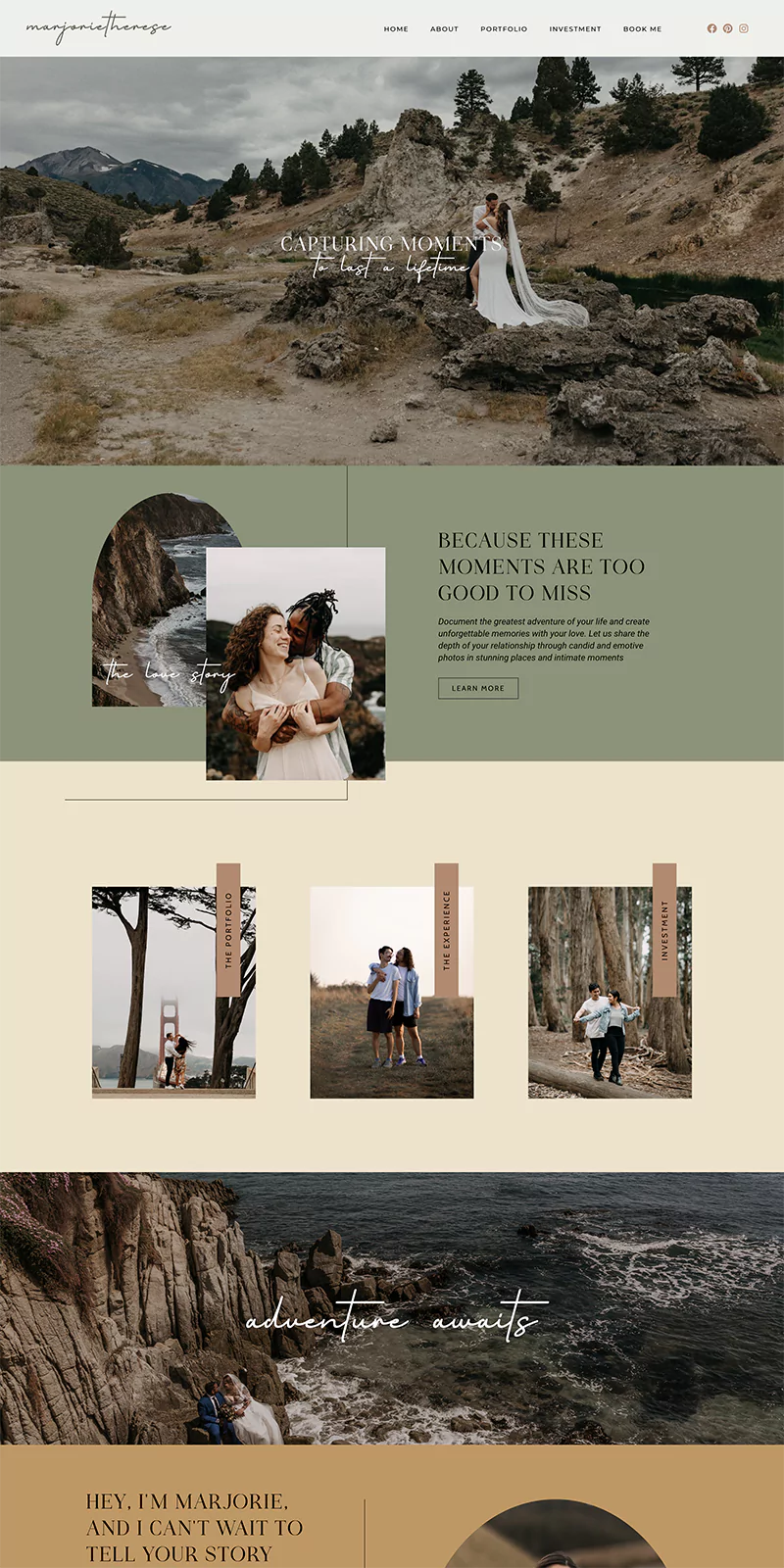Delphine WordPress Theme