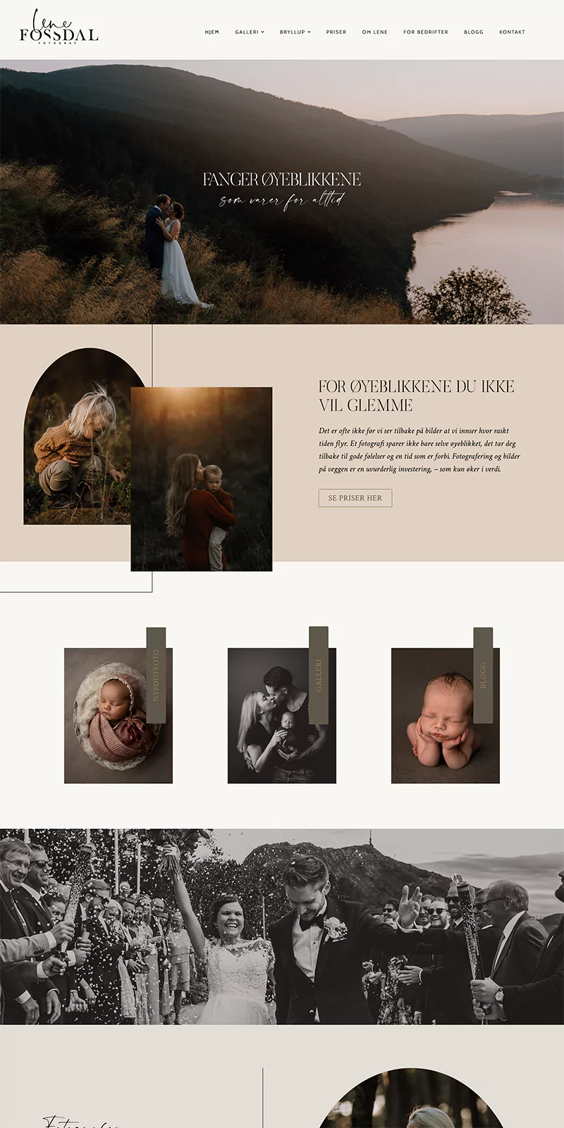 Delphine WordPress Theme