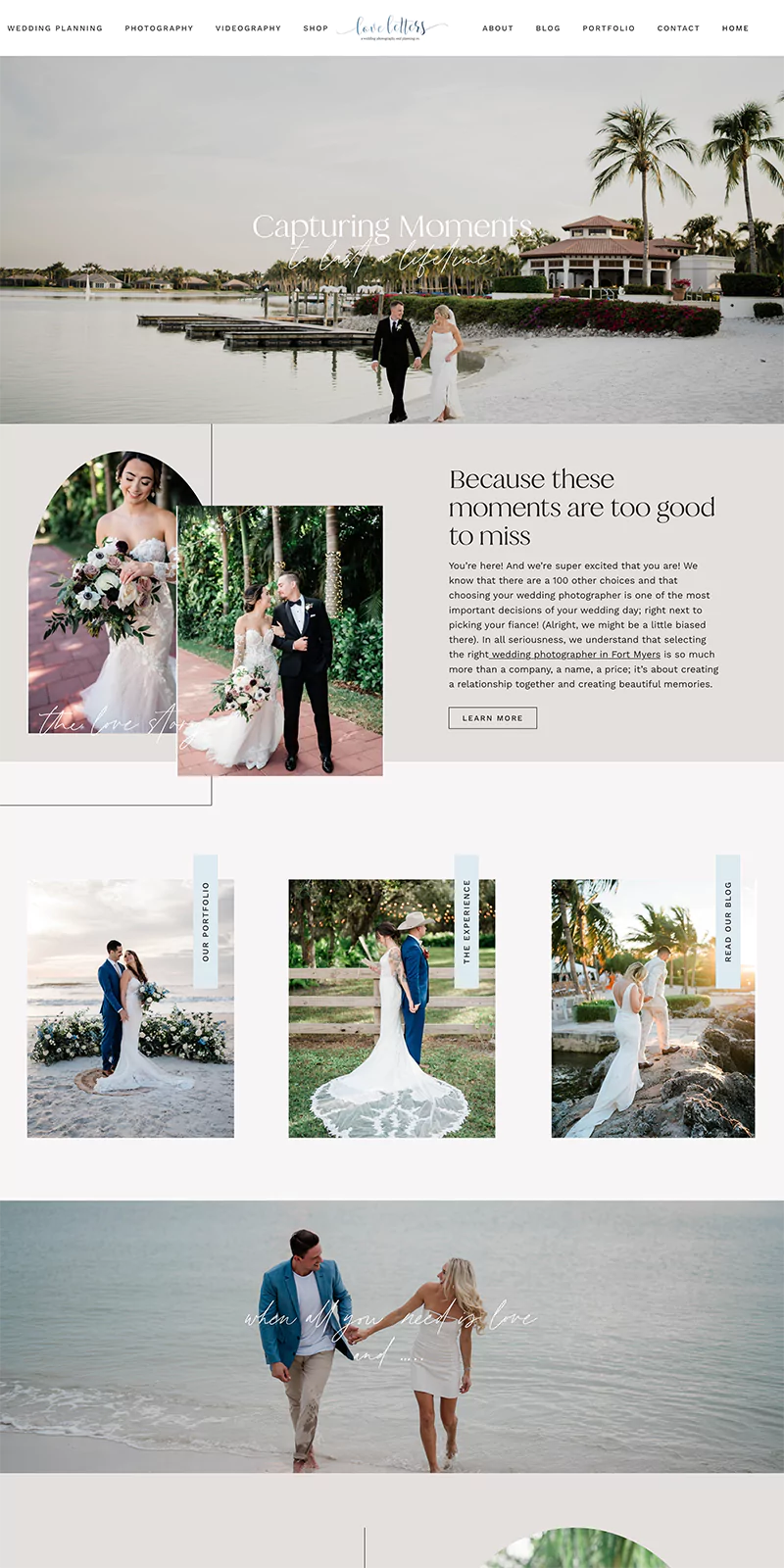 Delphine WordPress Theme