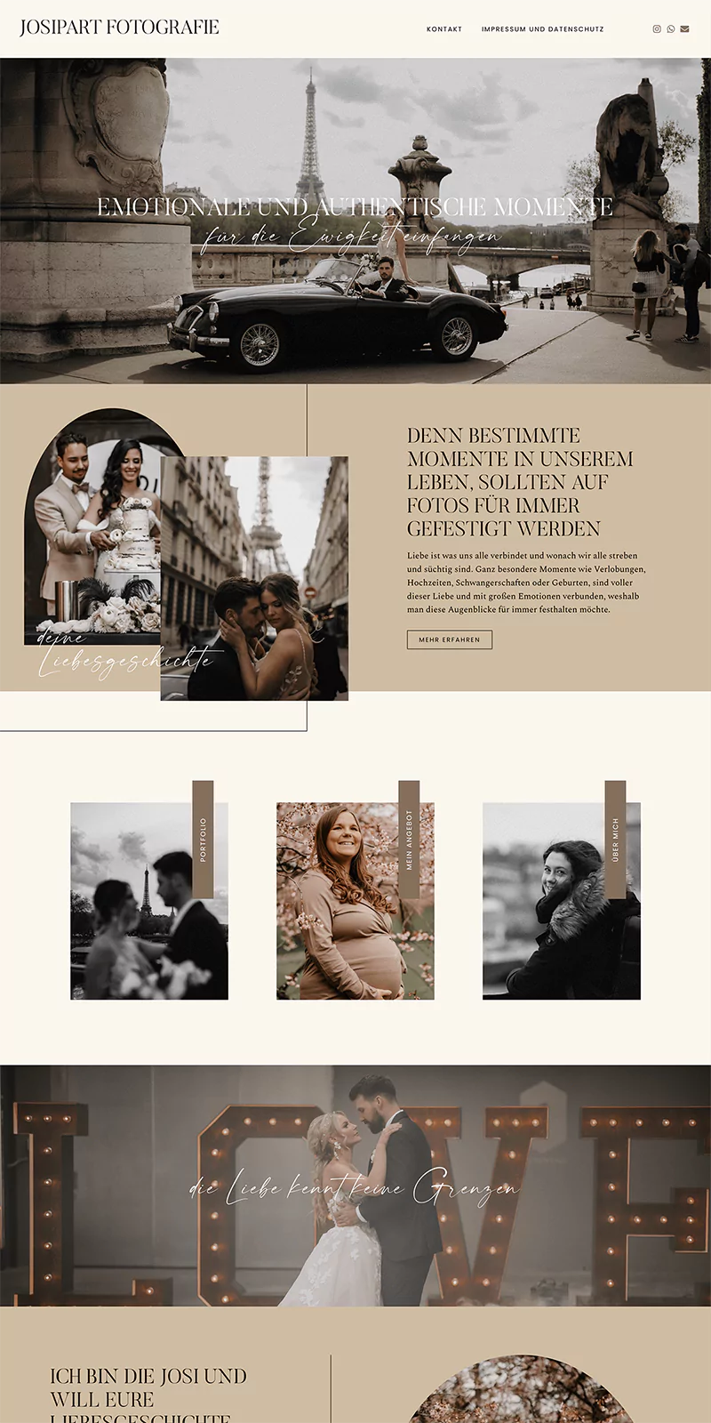 Delphine WordPress Theme