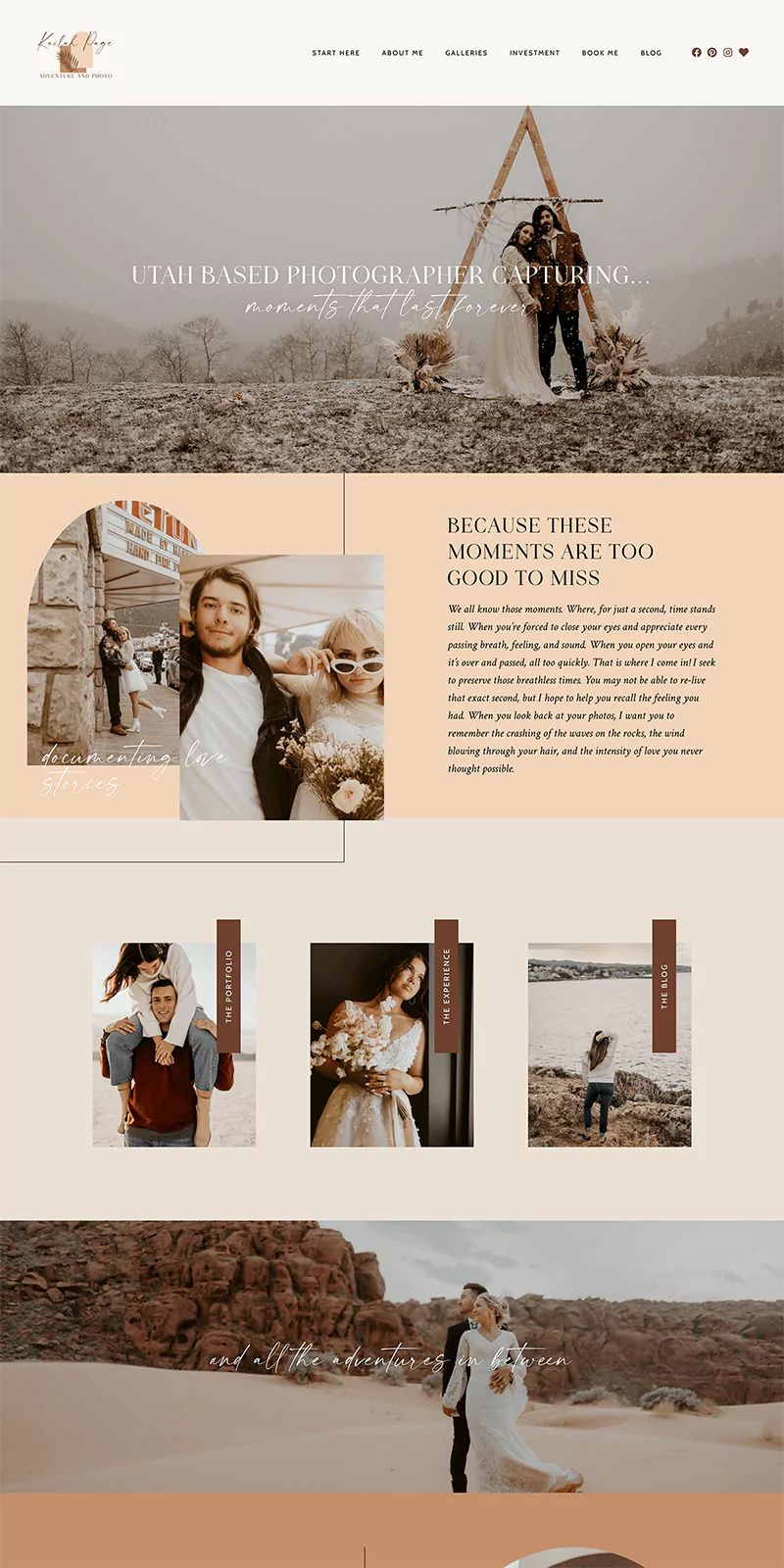 Delphine WordPress Theme