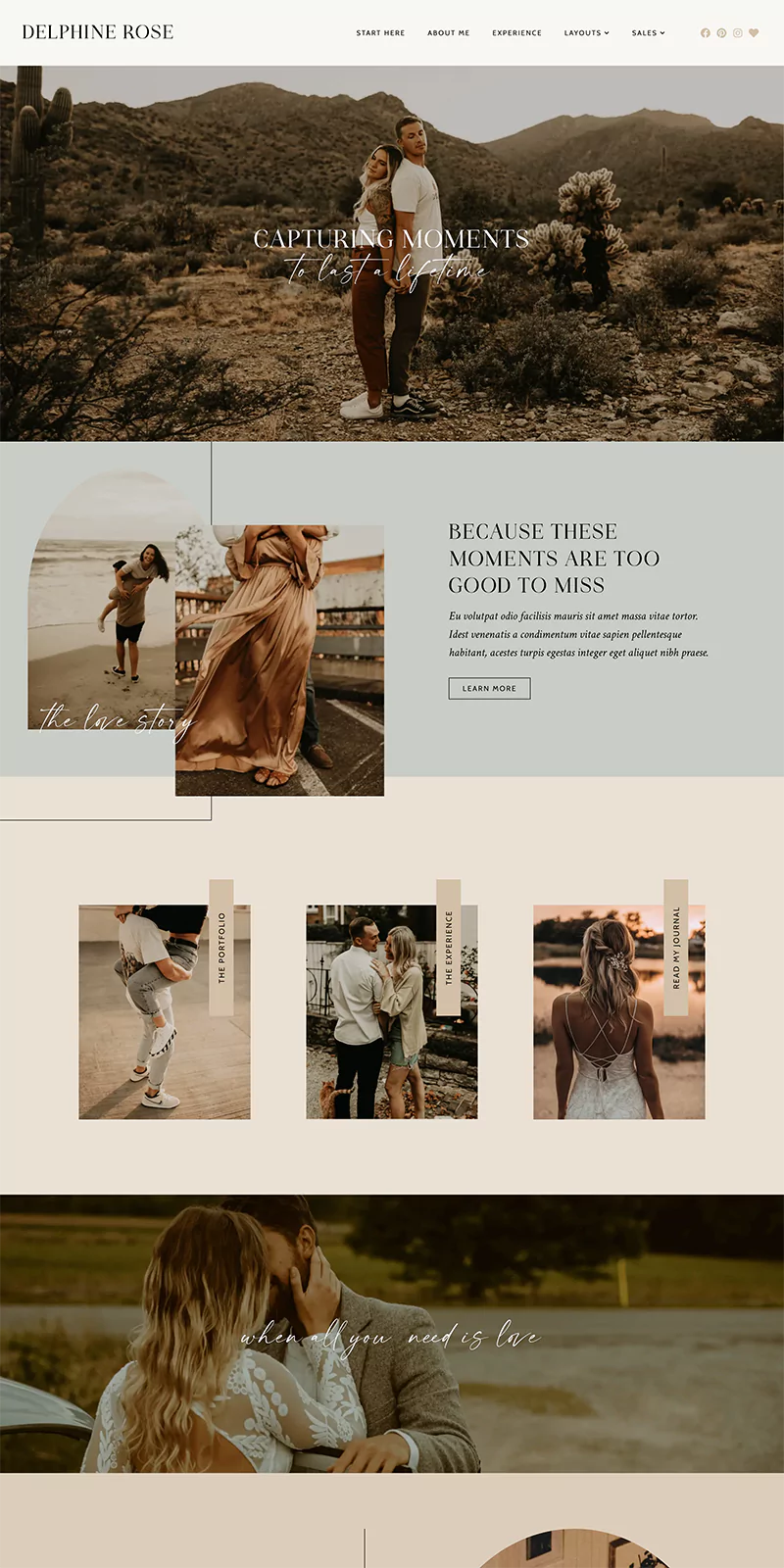 Delphine WordPress Theme
