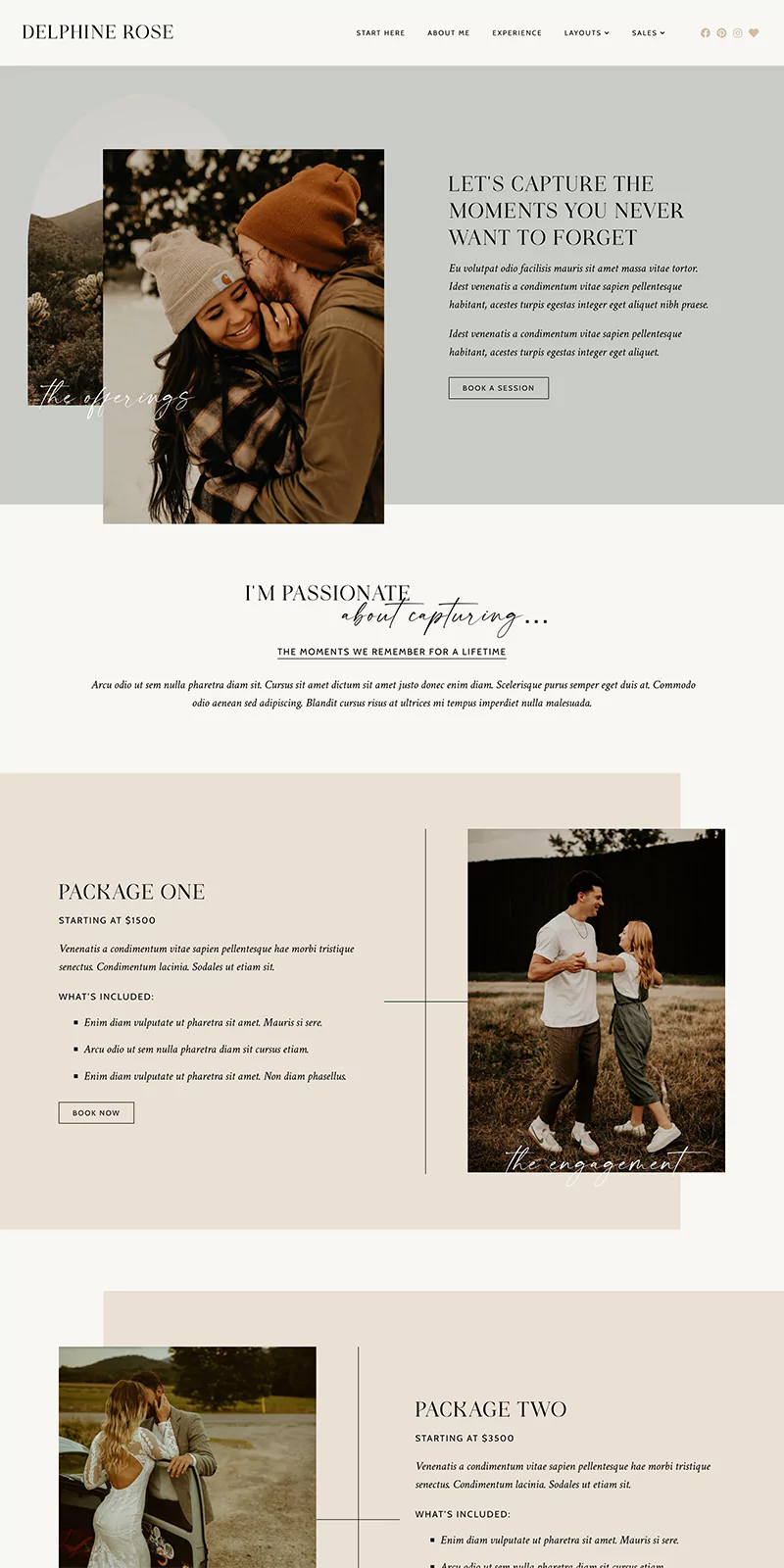 Delphine WordPress Theme