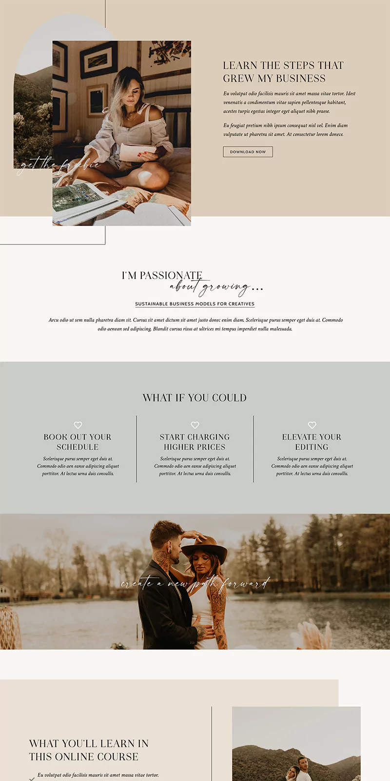 Delphine WordPress Theme