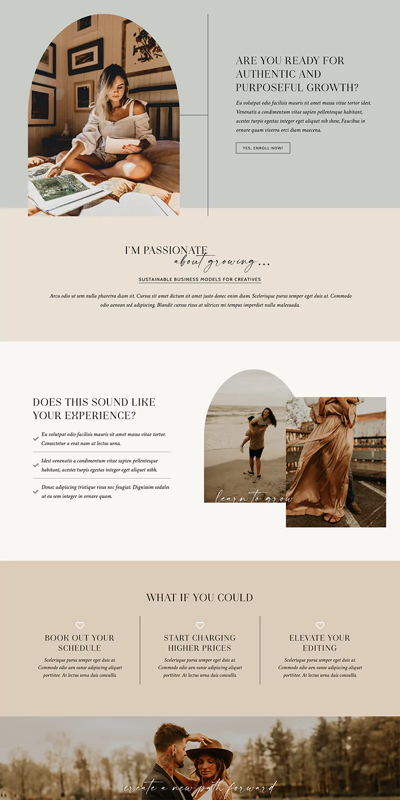 Delphine WordPress Theme