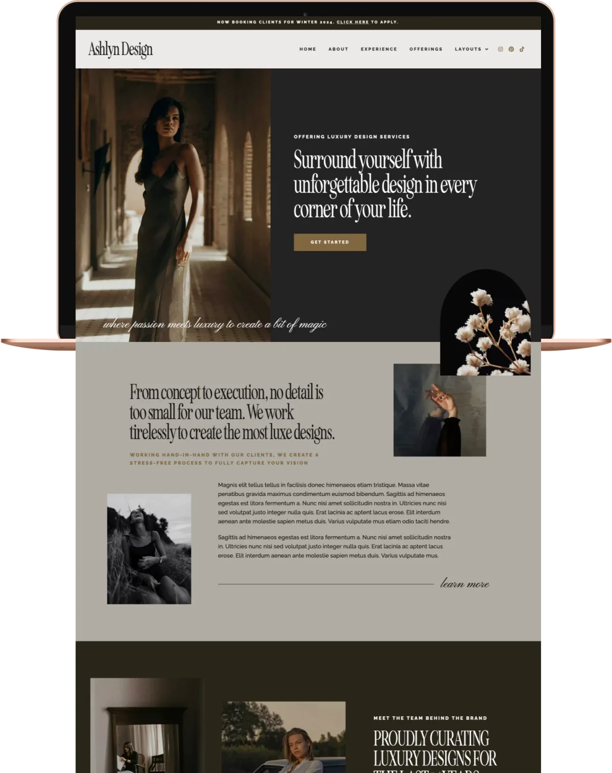Ashlyn WordPress Theme
