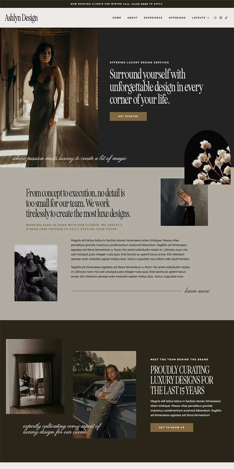 Ashlyn WordPress Theme