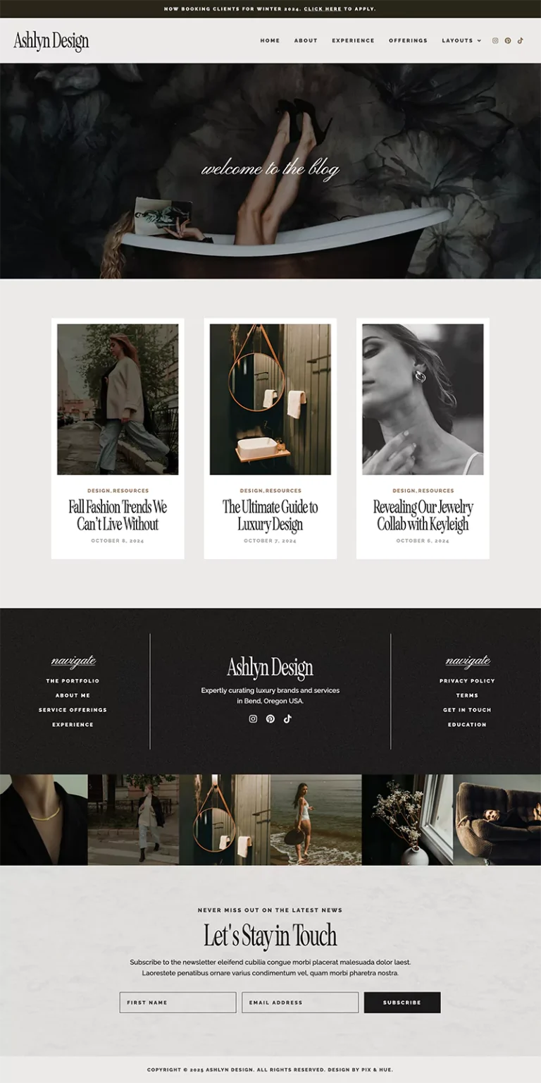 Ashlyn WordPress Theme