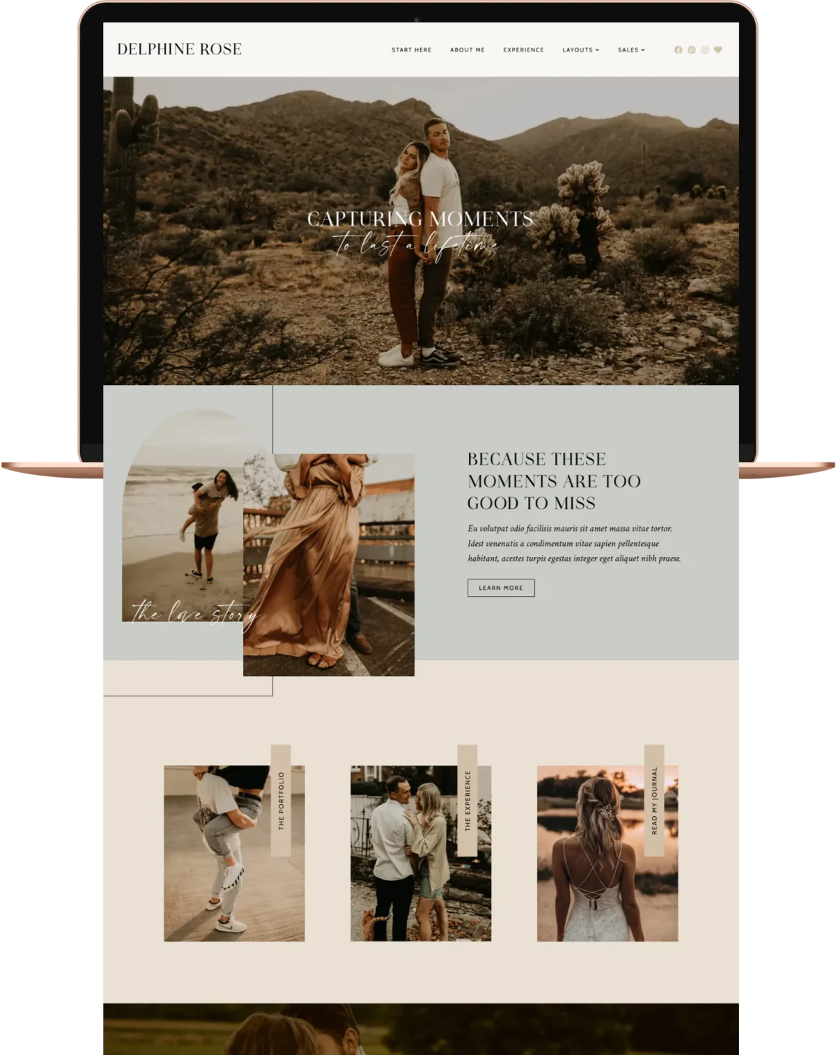 Delphine WordPress Theme