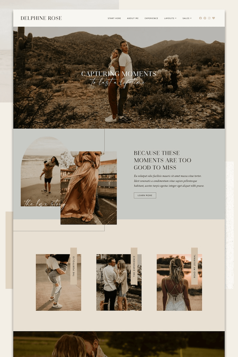 Delphine WordPress Theme